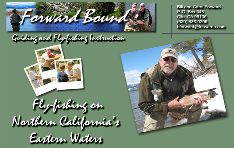 Forward Bound Guiding, Fly fishing Instruction, and Hiking